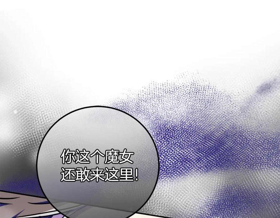 第242页