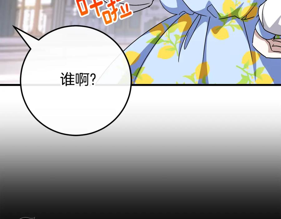 第223页