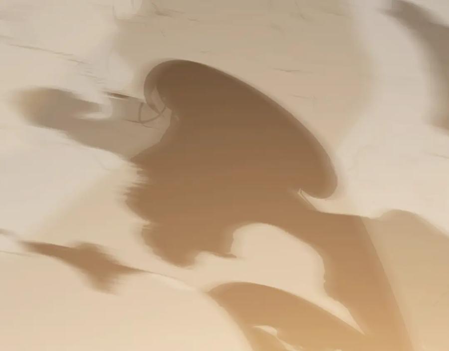 第219页