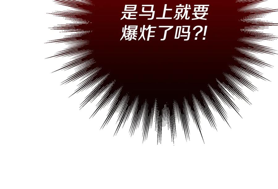 第250页