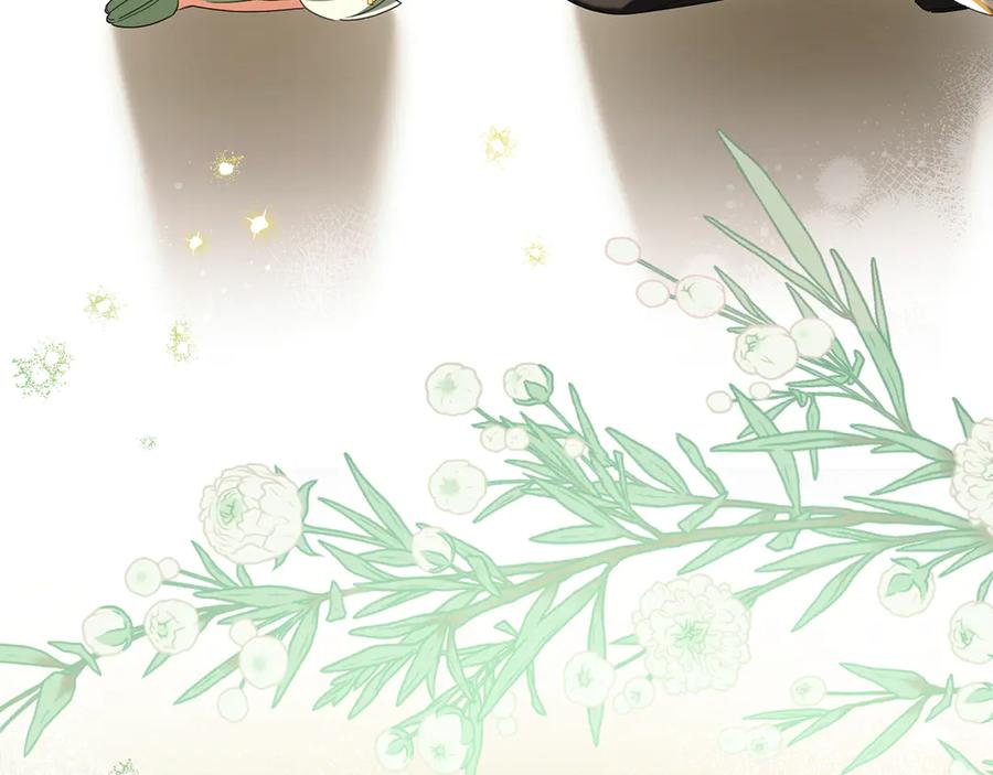 第262页