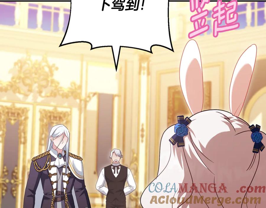 第205页