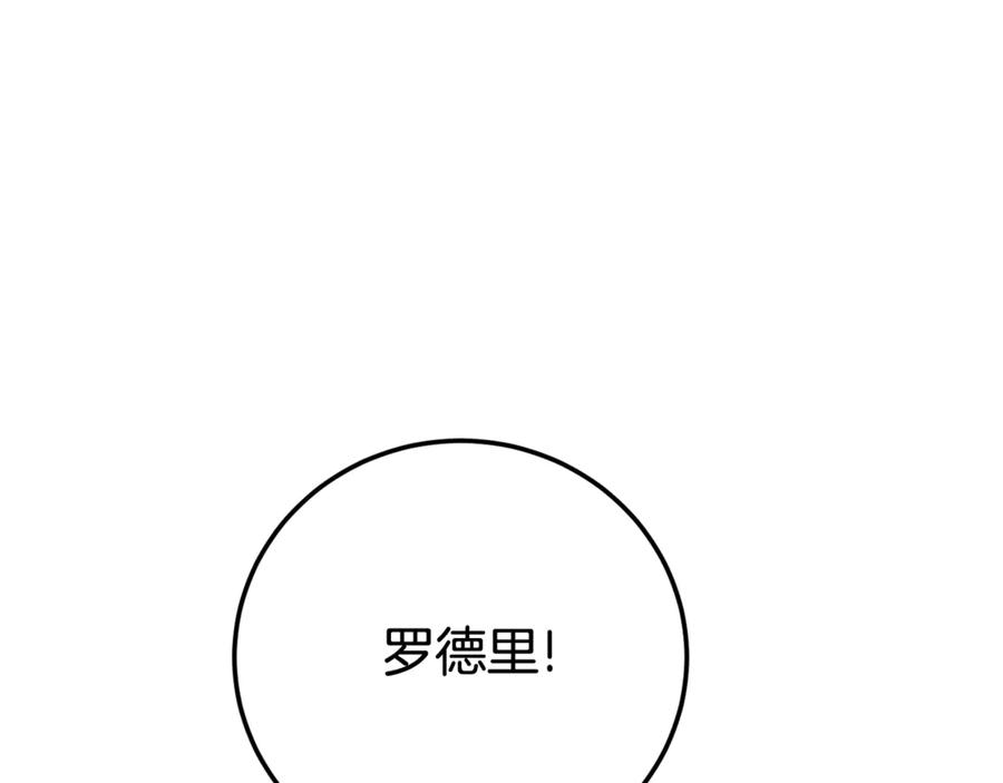 第223页