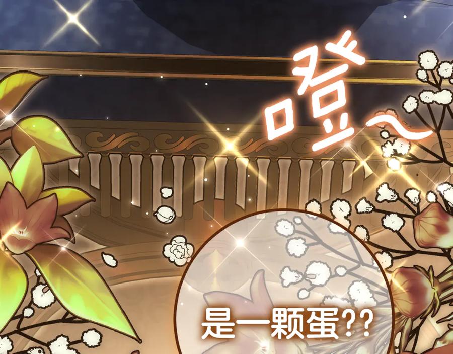 第240页