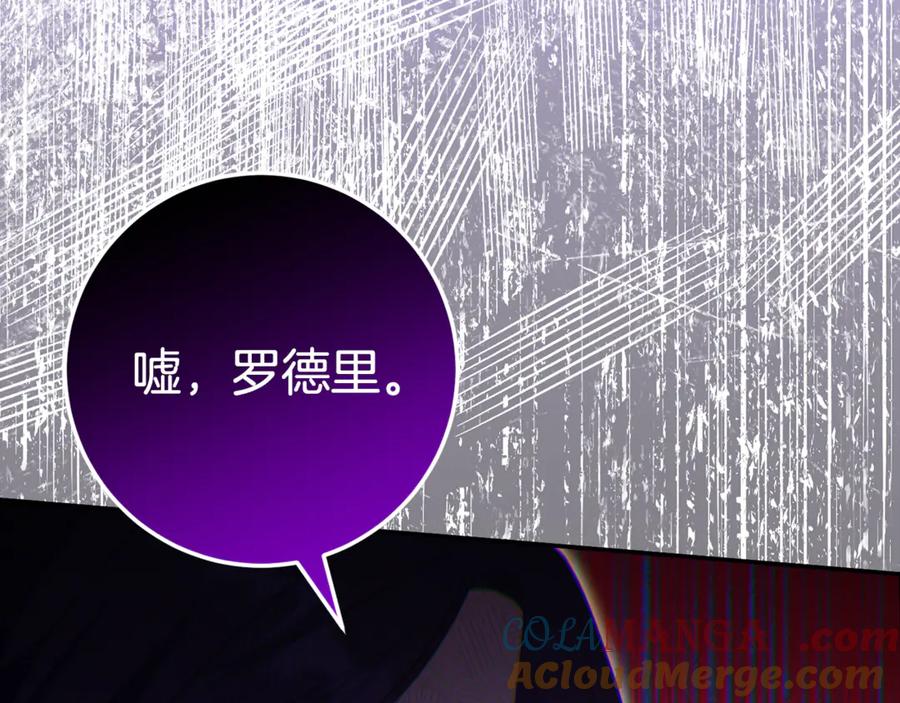 第221页
