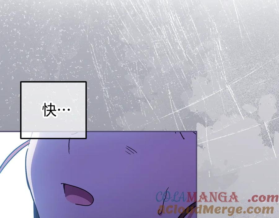 第221页