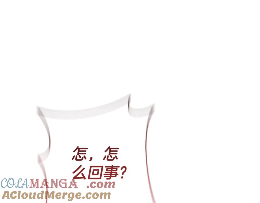 第221页