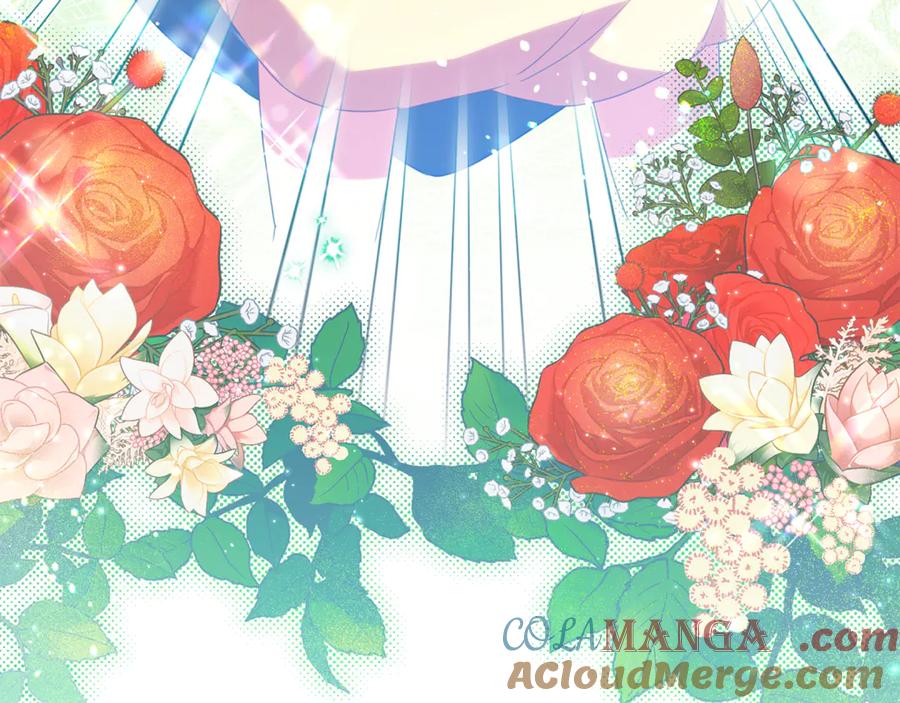 第233页