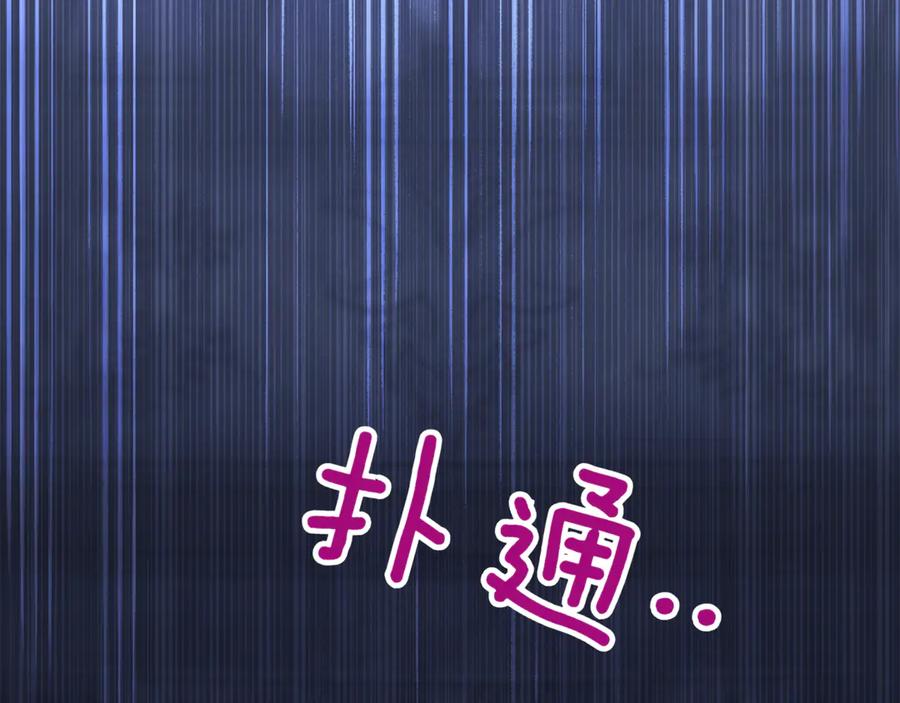 第223页