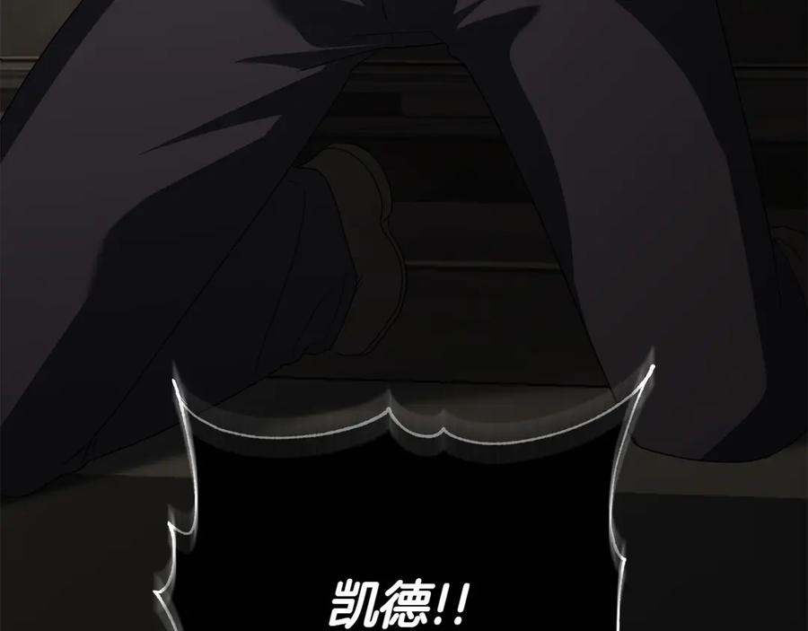 第216页