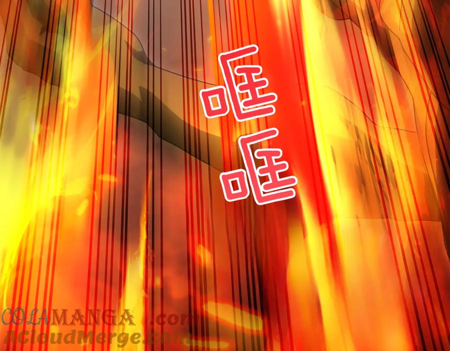 第213页