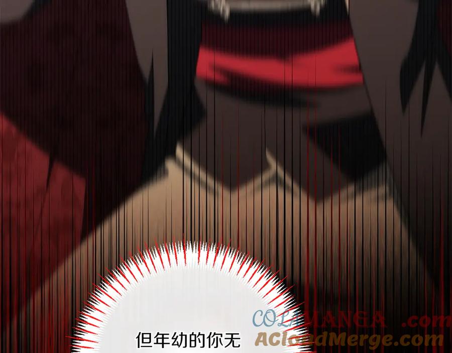 第217页