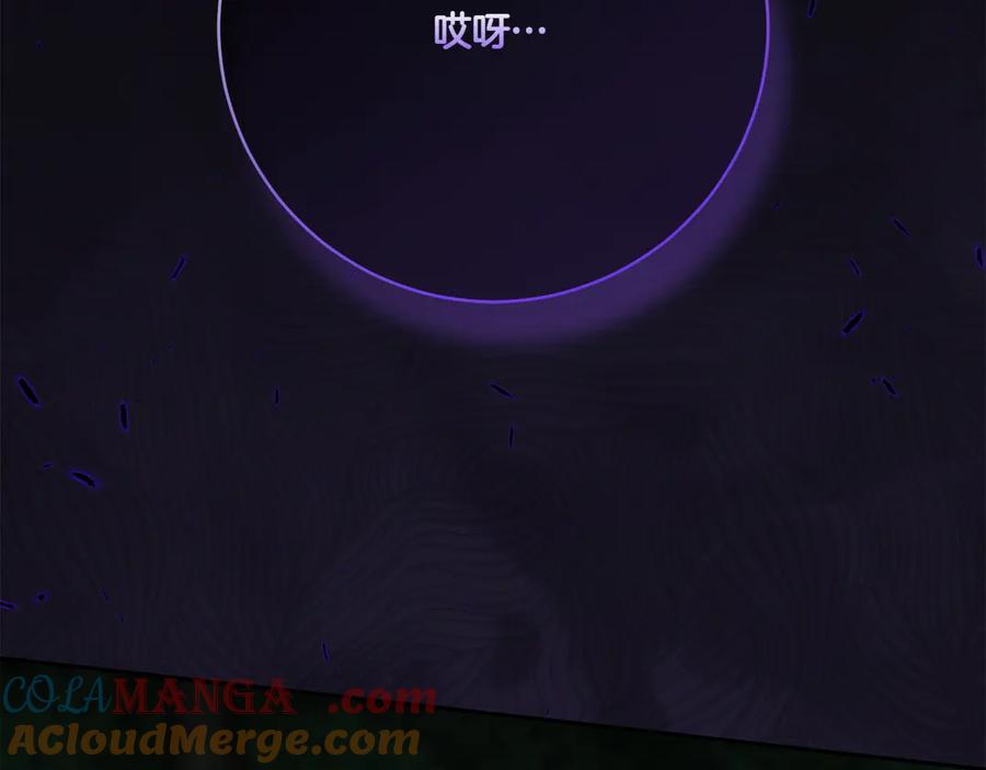 第245页