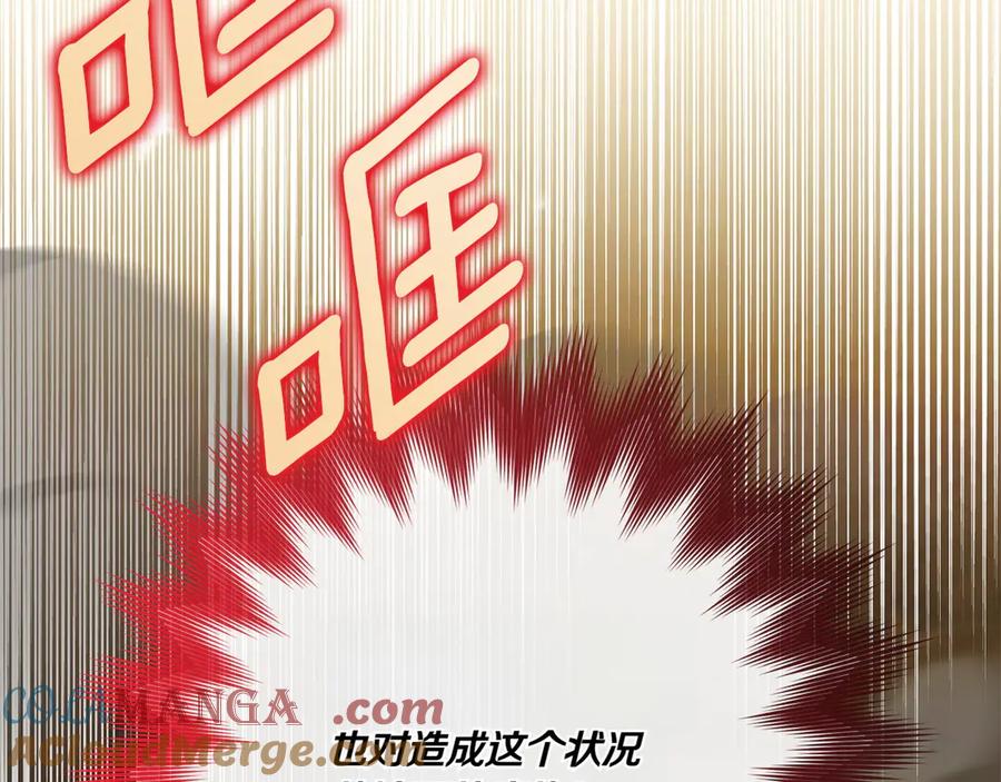 第217页