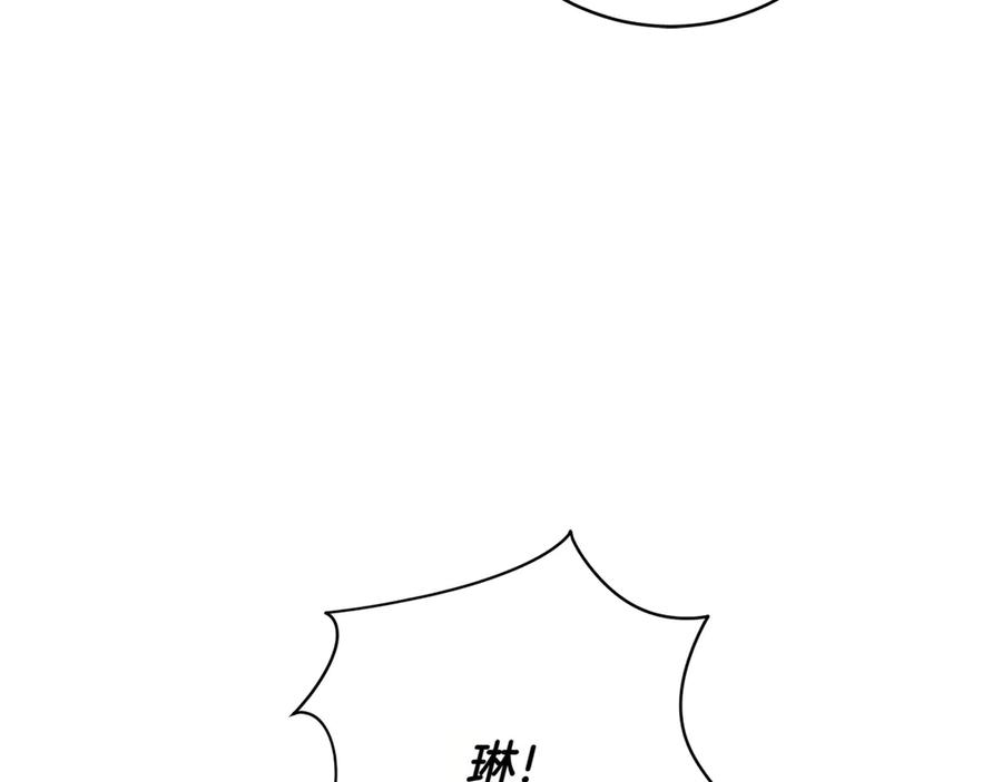 第223页
