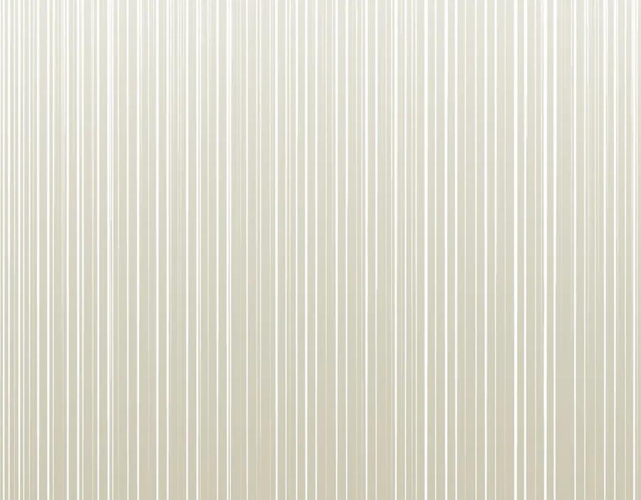 第224页