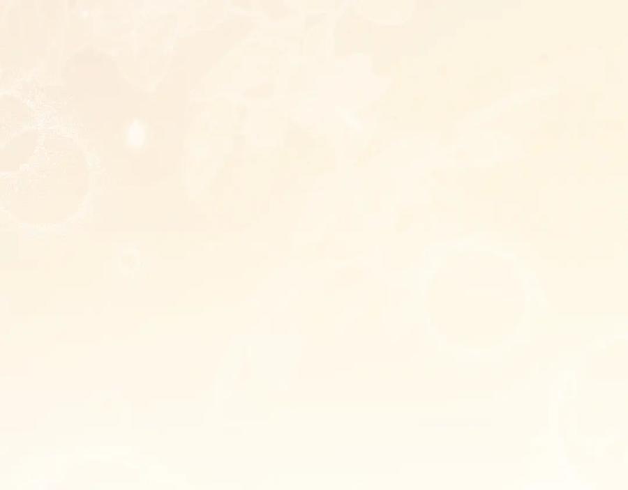 第239页