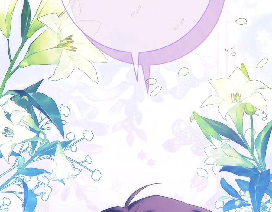 第244页