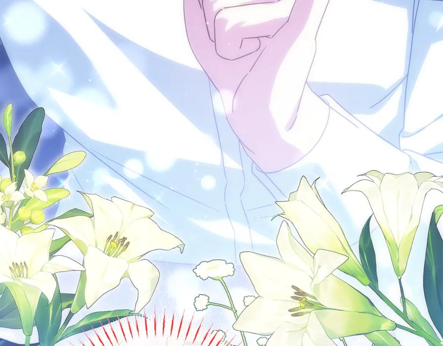 第247页