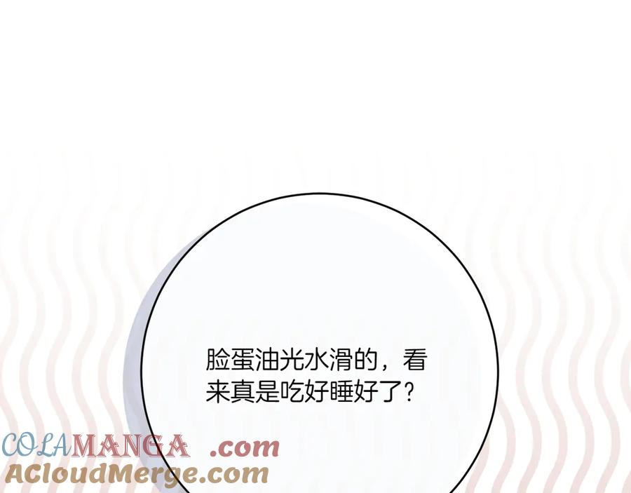 第213页