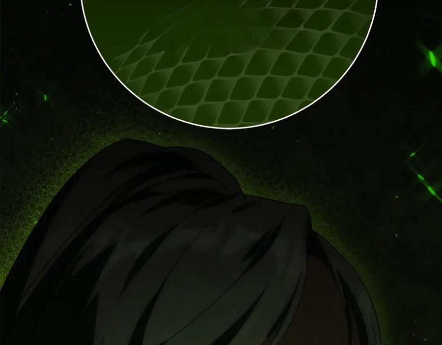 第214页