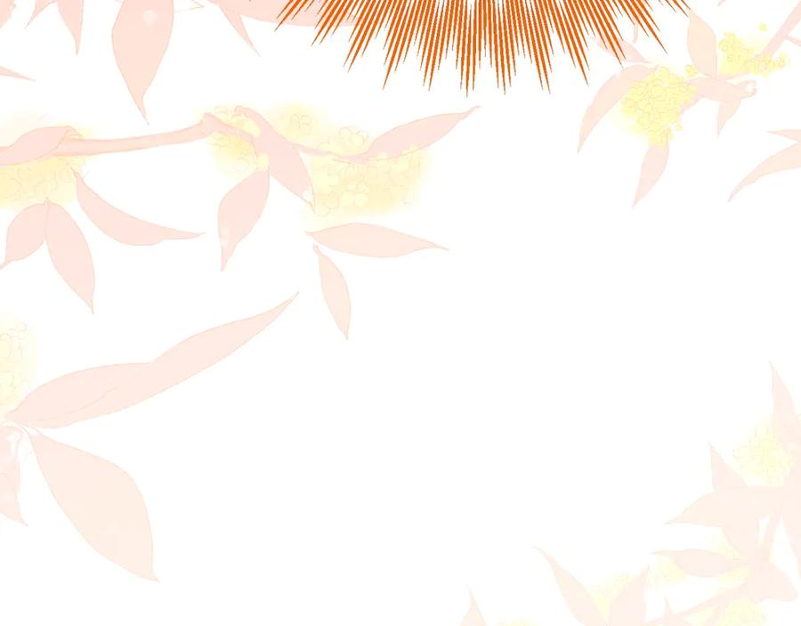 第243页