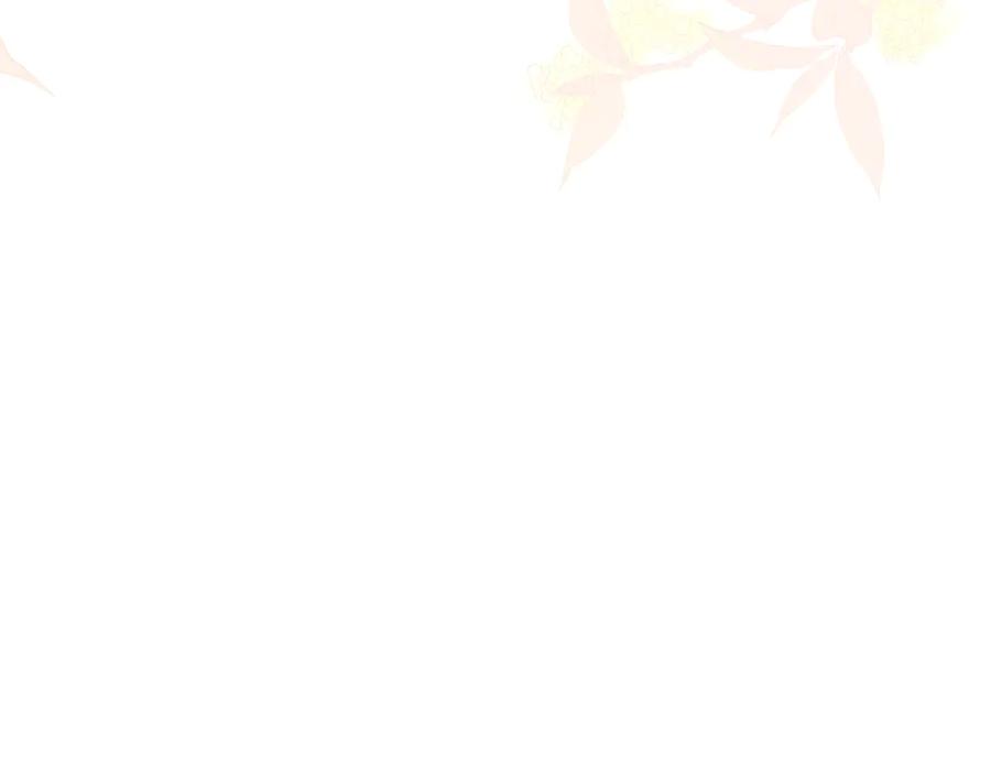 第244页