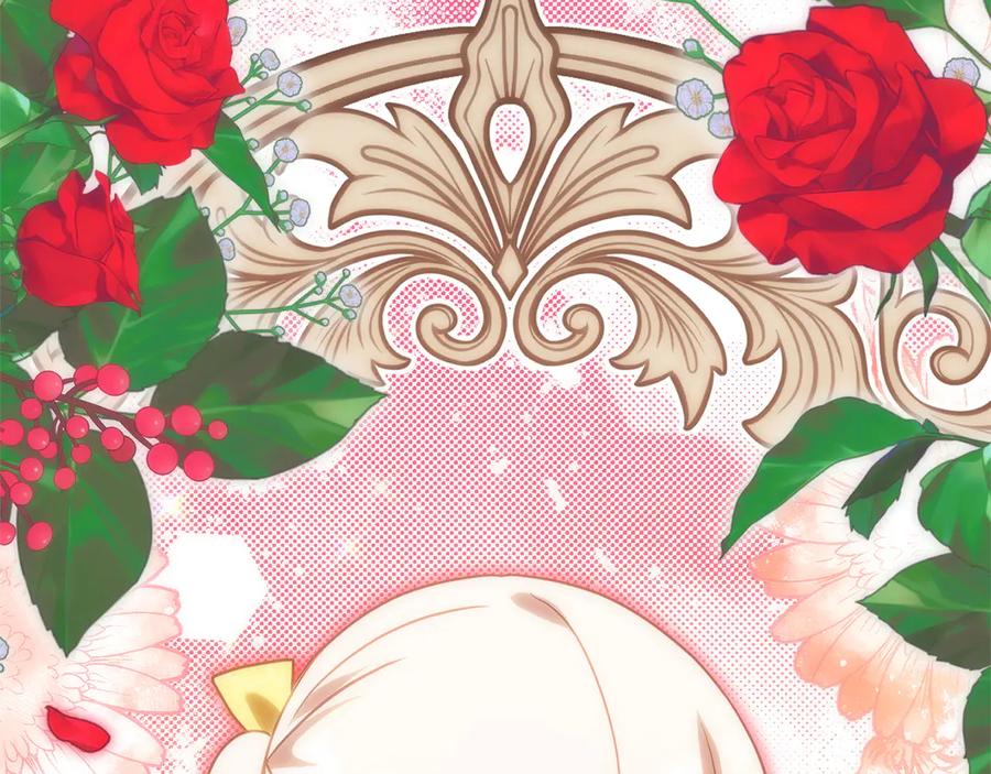 第246页