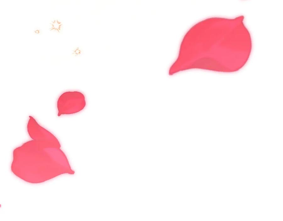 第251页