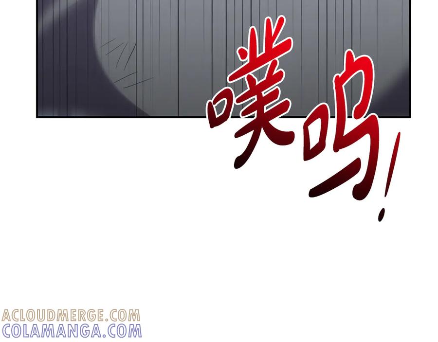 第217页