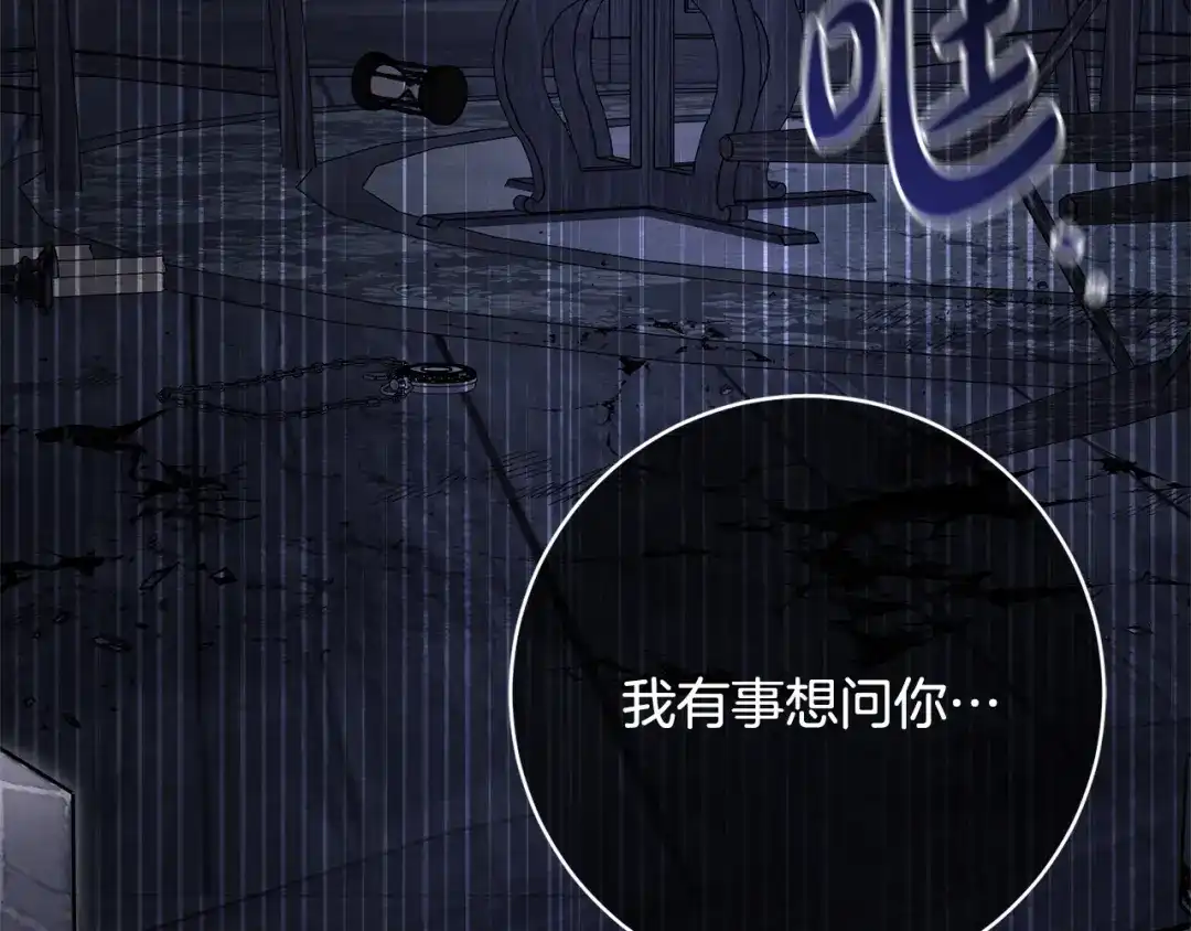 第228页