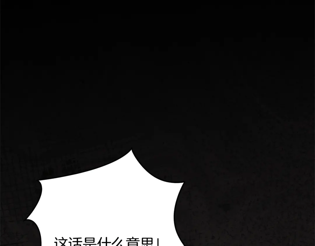 第238页