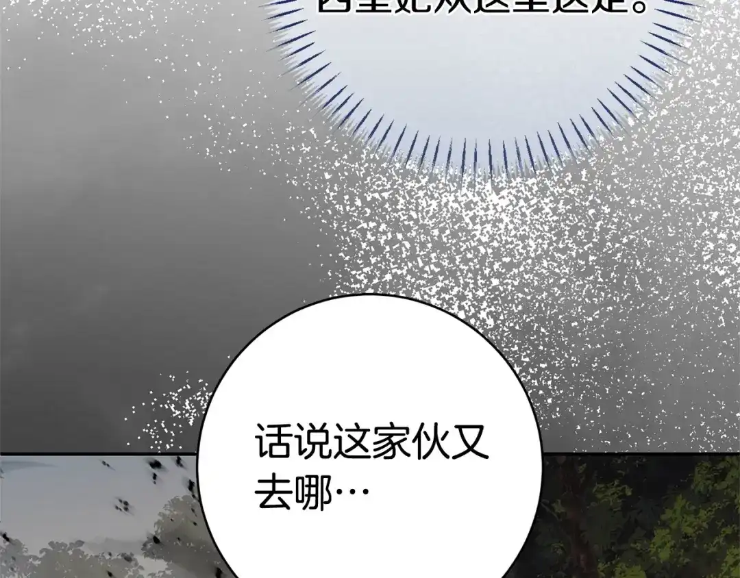 第207页