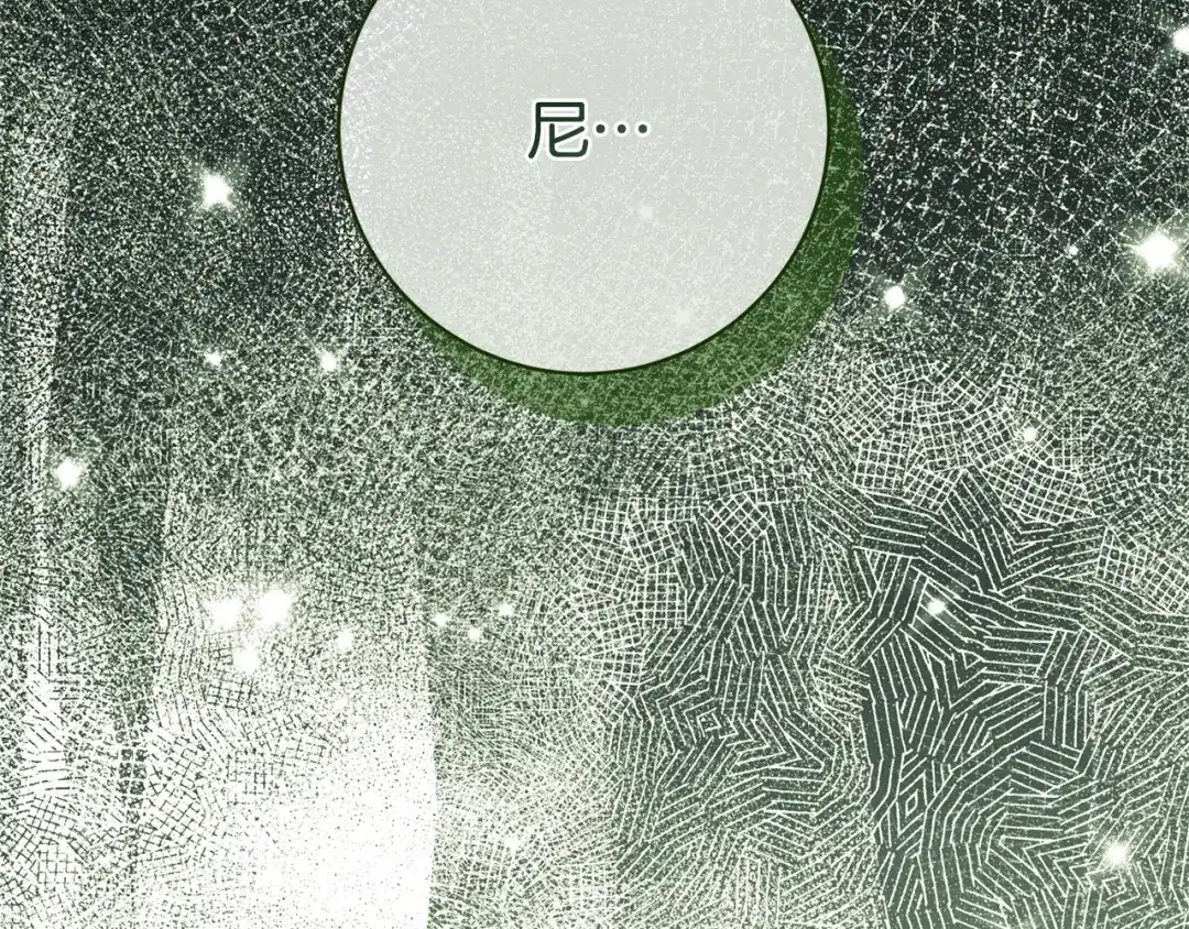 第253页
