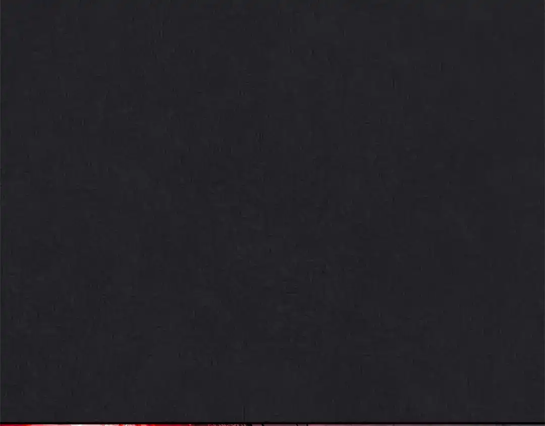 第216页