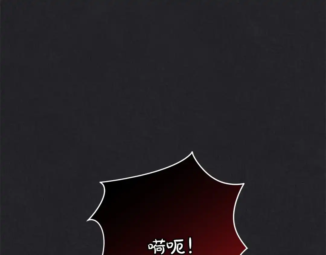 第223页