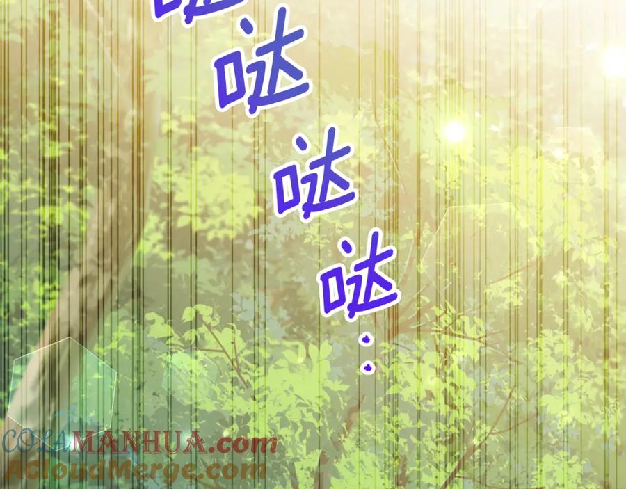 第213页