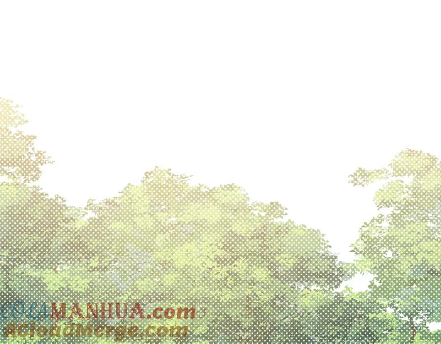 第221页