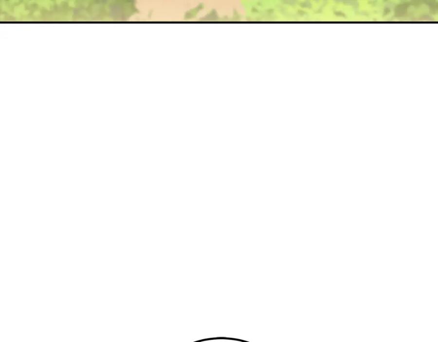 第223页