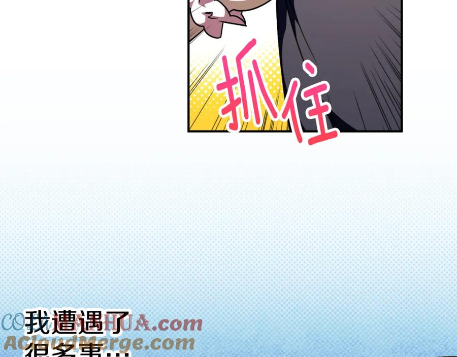 第225页