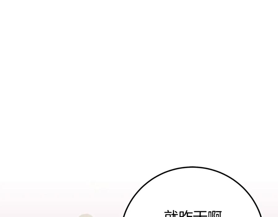 第255页