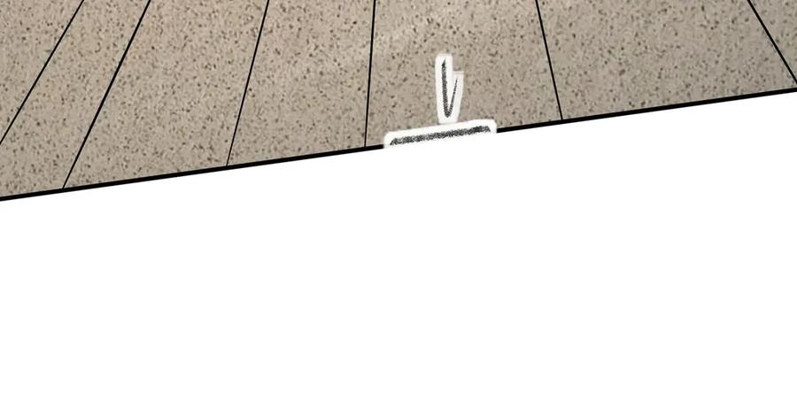 第239页