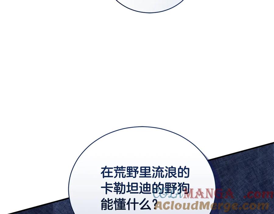 第213页