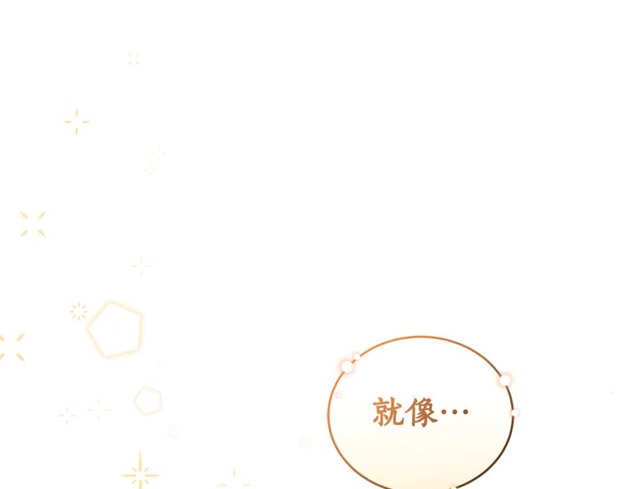 第238页