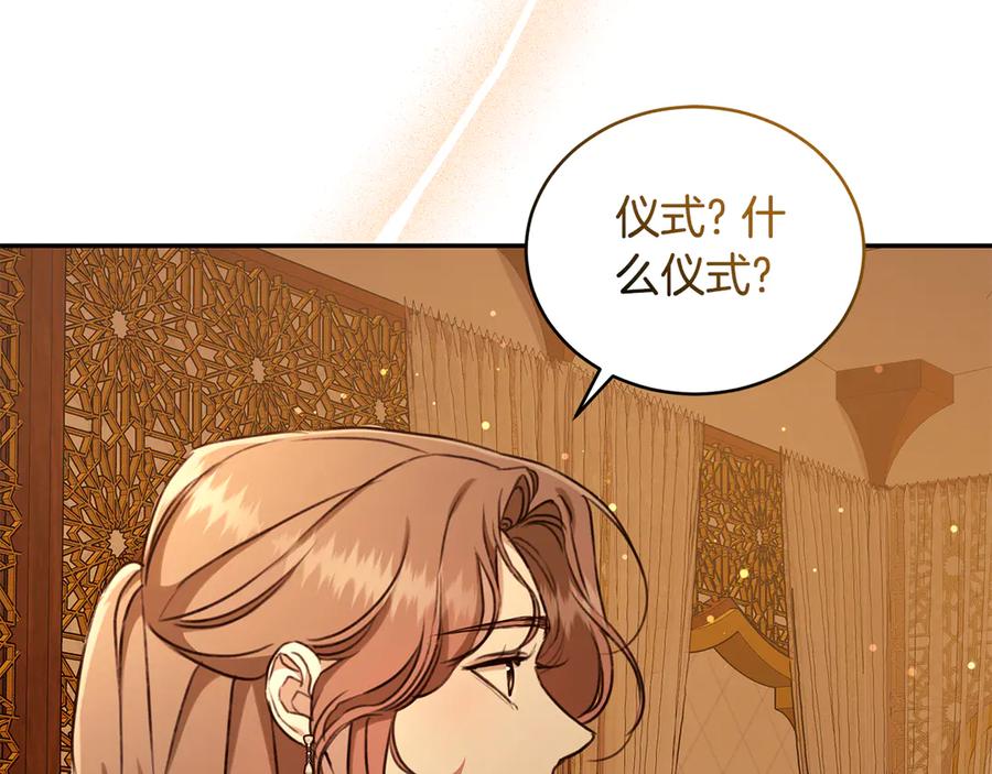 第213页