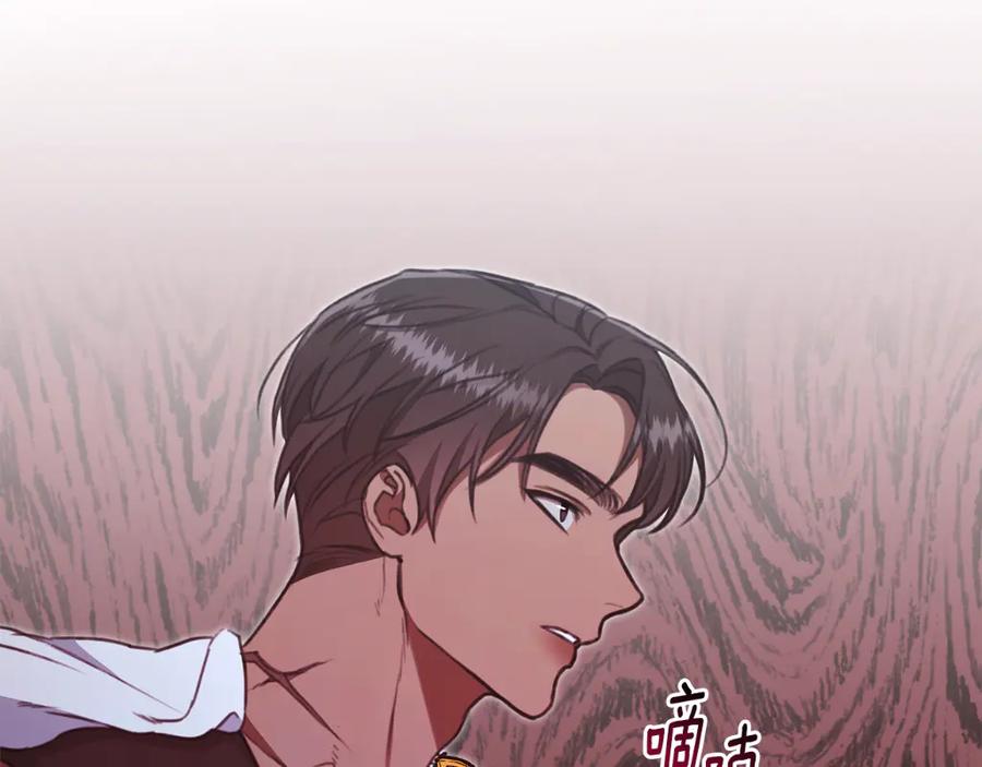 第219页