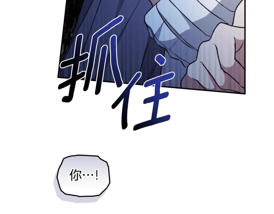 第215页