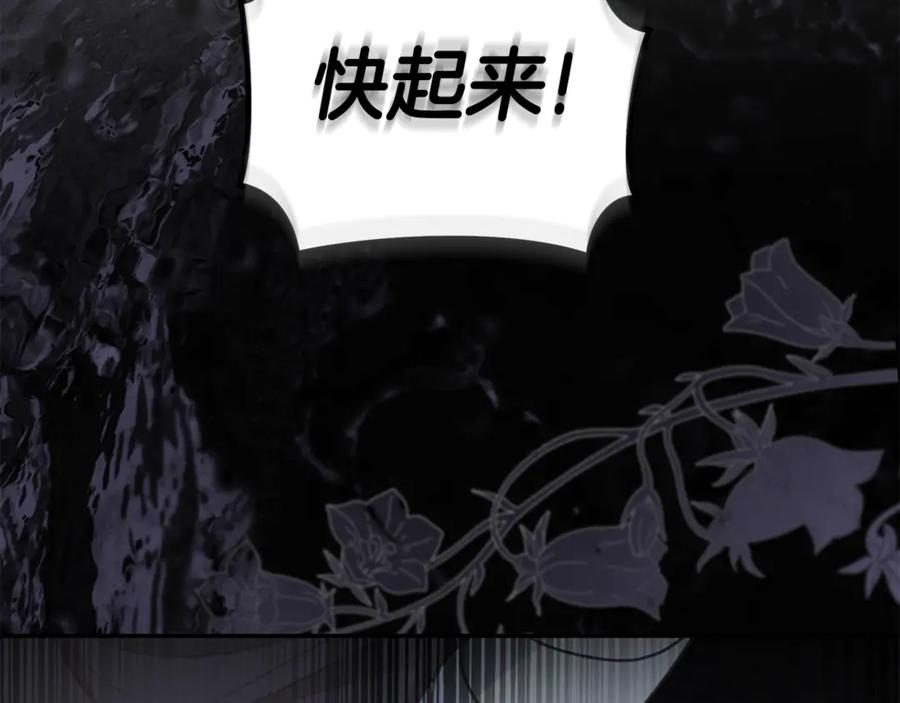 第224页