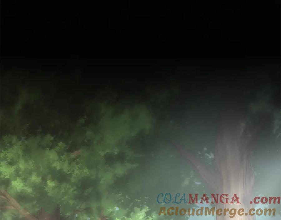 第229页