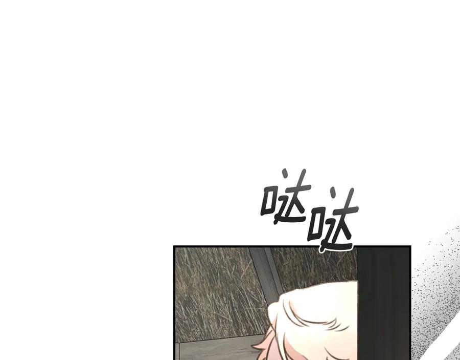 第251页